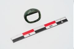 Foto von Bronzeniet (NHMW-PRAE-024382)